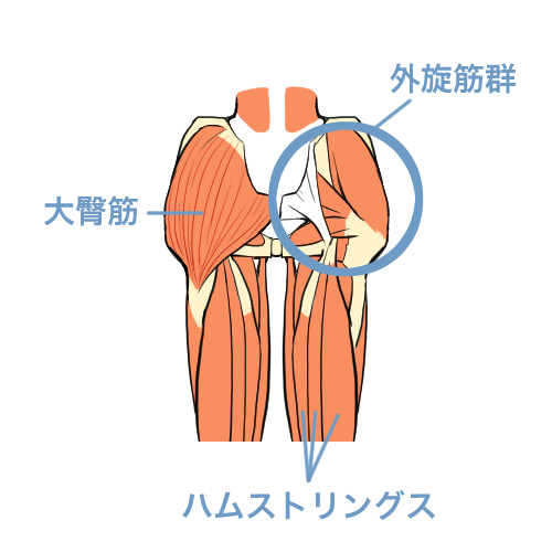 「股関節は回さない」