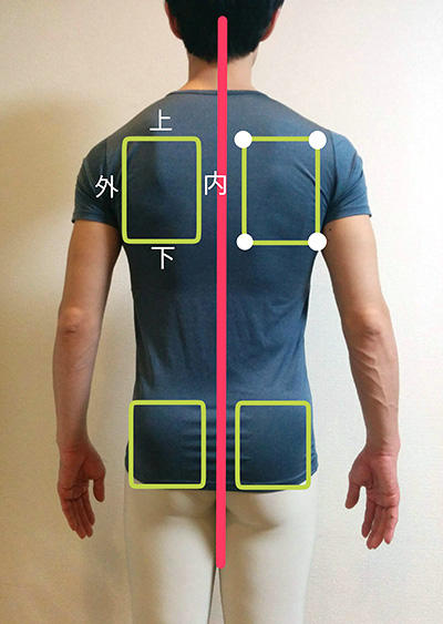 「肩甲骨とお尻ポケット」