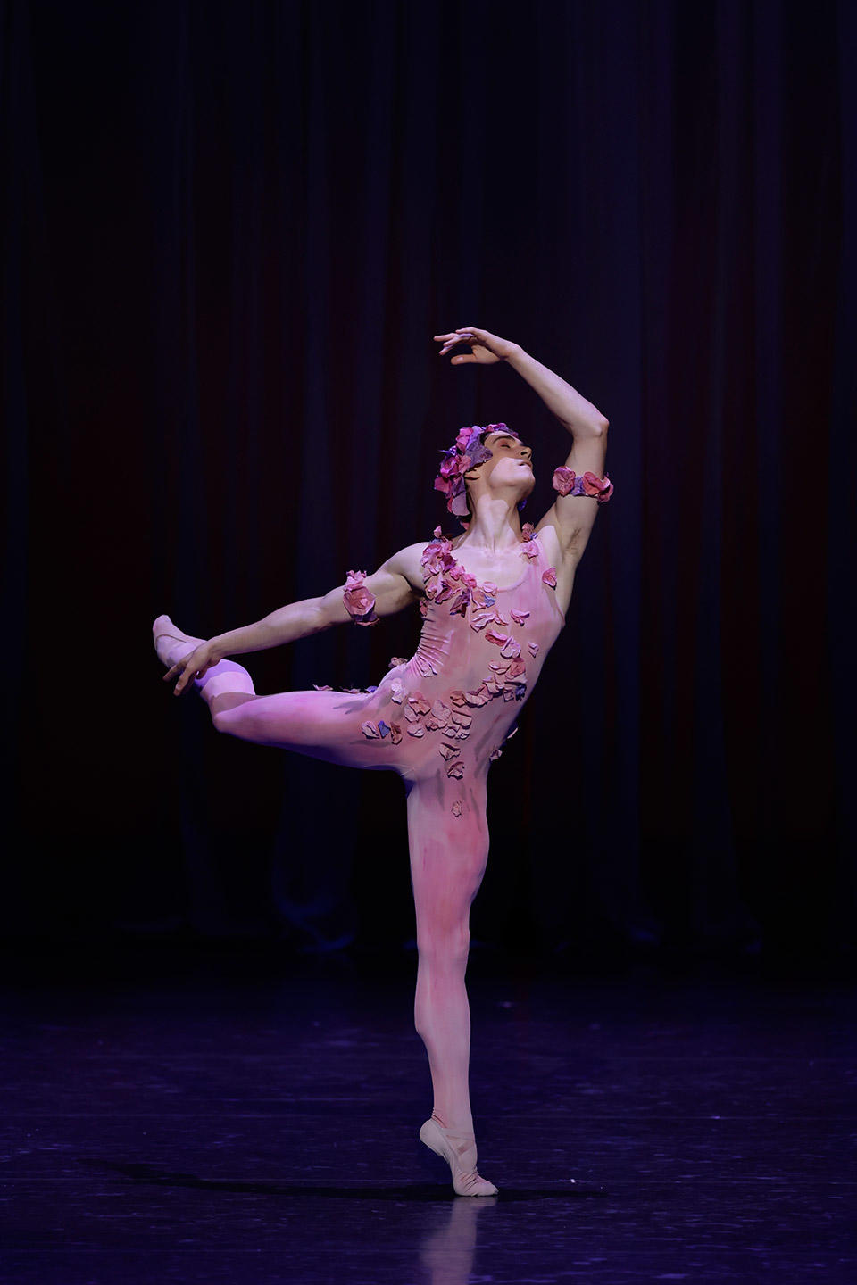 Ballet Muses ―バレエの美神 2023― | 光藍社（こうらんしゃ）
