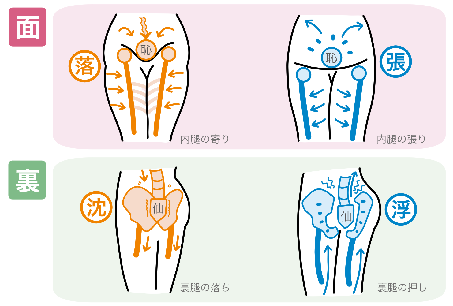 第41回 骨コントローラーへの道 ファイナル 骨の流れのように チャコット