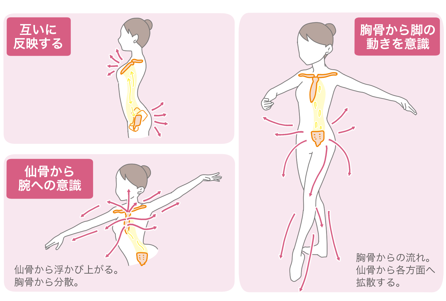 第41回 骨コントローラーへの道 ファイナル 骨の流れのように チャコット