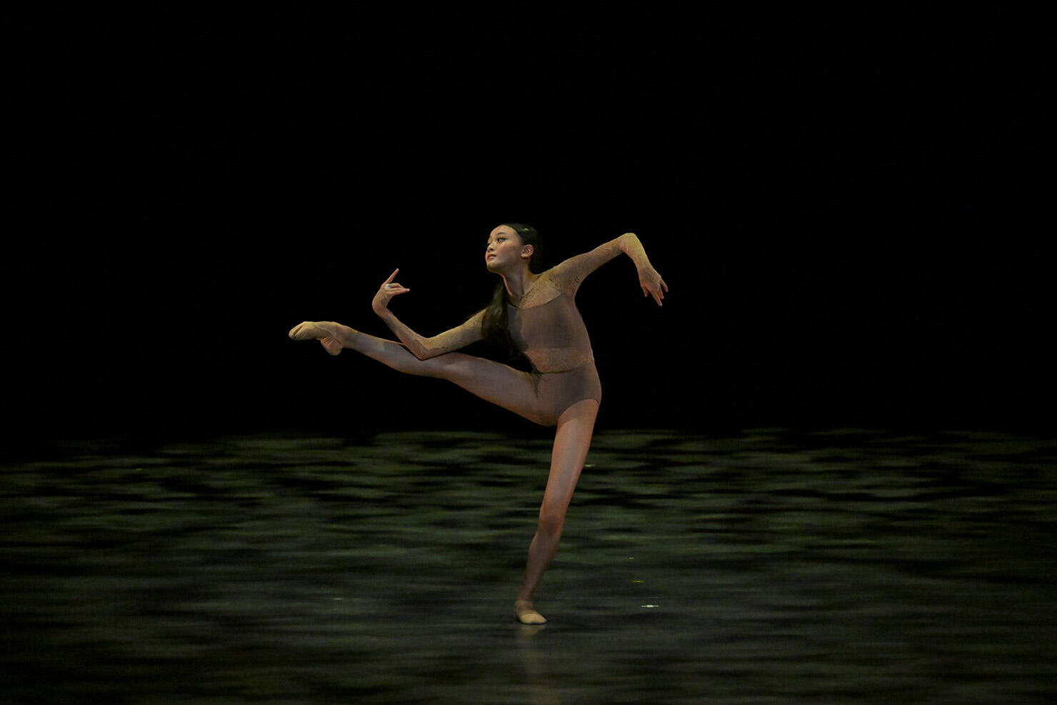 355.jpg