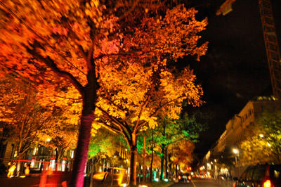 ベルリンで毎年恒例の「ライト・フェスティバル」