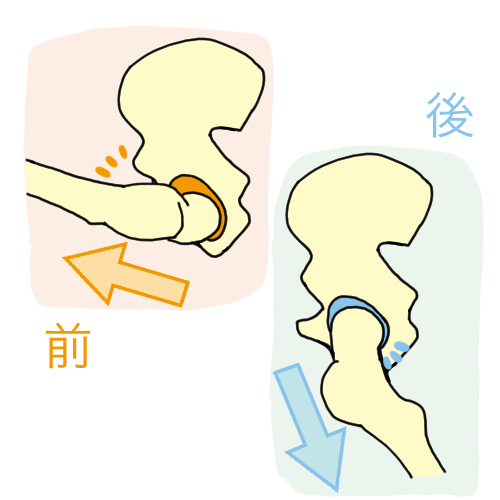 「股関節の屋根」