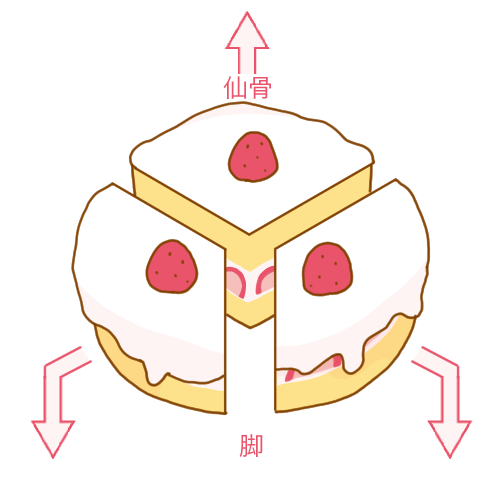 丸いケーキを３等分したとイメージ