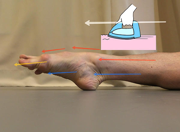 アイロンで足首から爪先へとシワを伸ばしていくように
