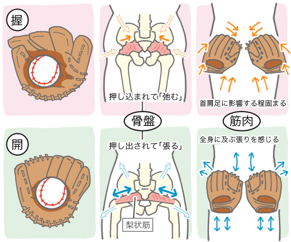 「お尻は動きの支えに使う」