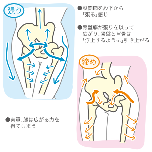 「股関節の回転球、応用編」