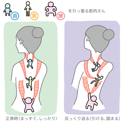 第26回 背中の引き上げはオーラの源 チャコット