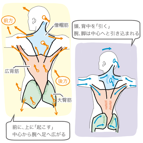 第26回 背中の引き上げはオーラの源 チャコット