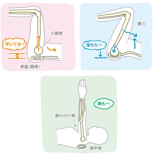 「リニア股関節」