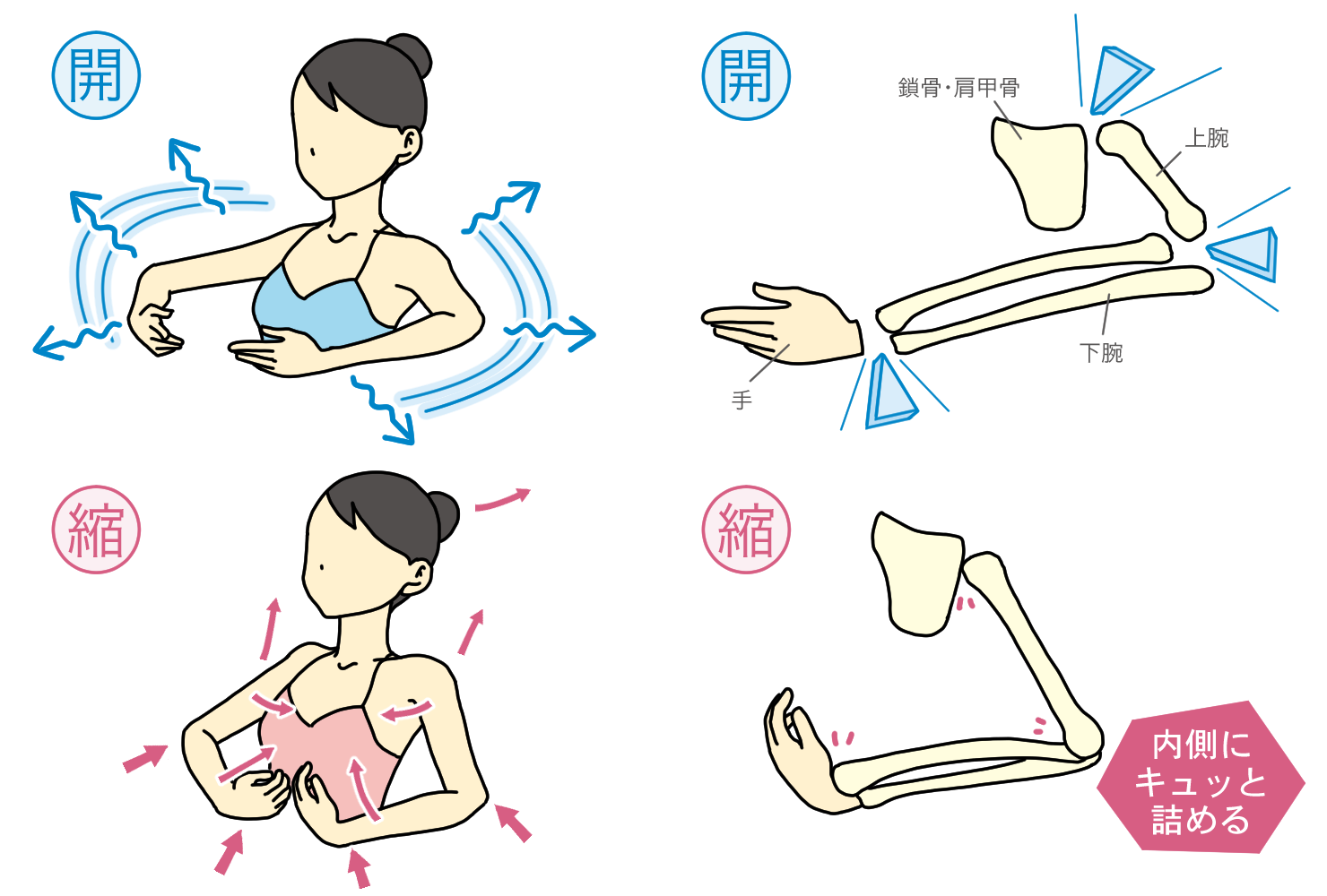 第40回 骨コントローラーへの道 ２章 関節間の開き チャコット