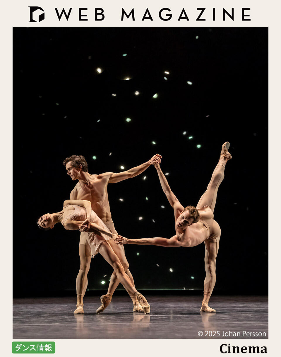 ワイルドダンサー バブルビートバリアント Bridon Plastic Baler Twine