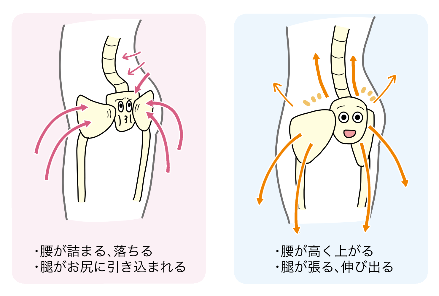 第47回 ミラクルストレッチは仙骨から 前編 チャコット