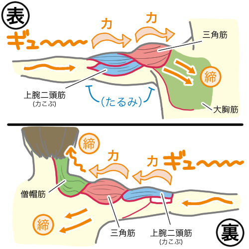 「力と動きの違い」