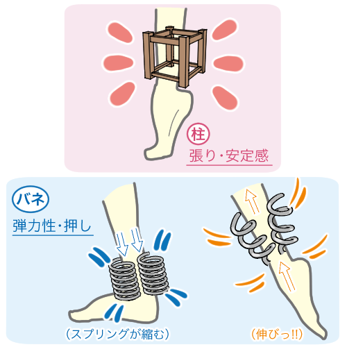 「足の支えあっての足首」