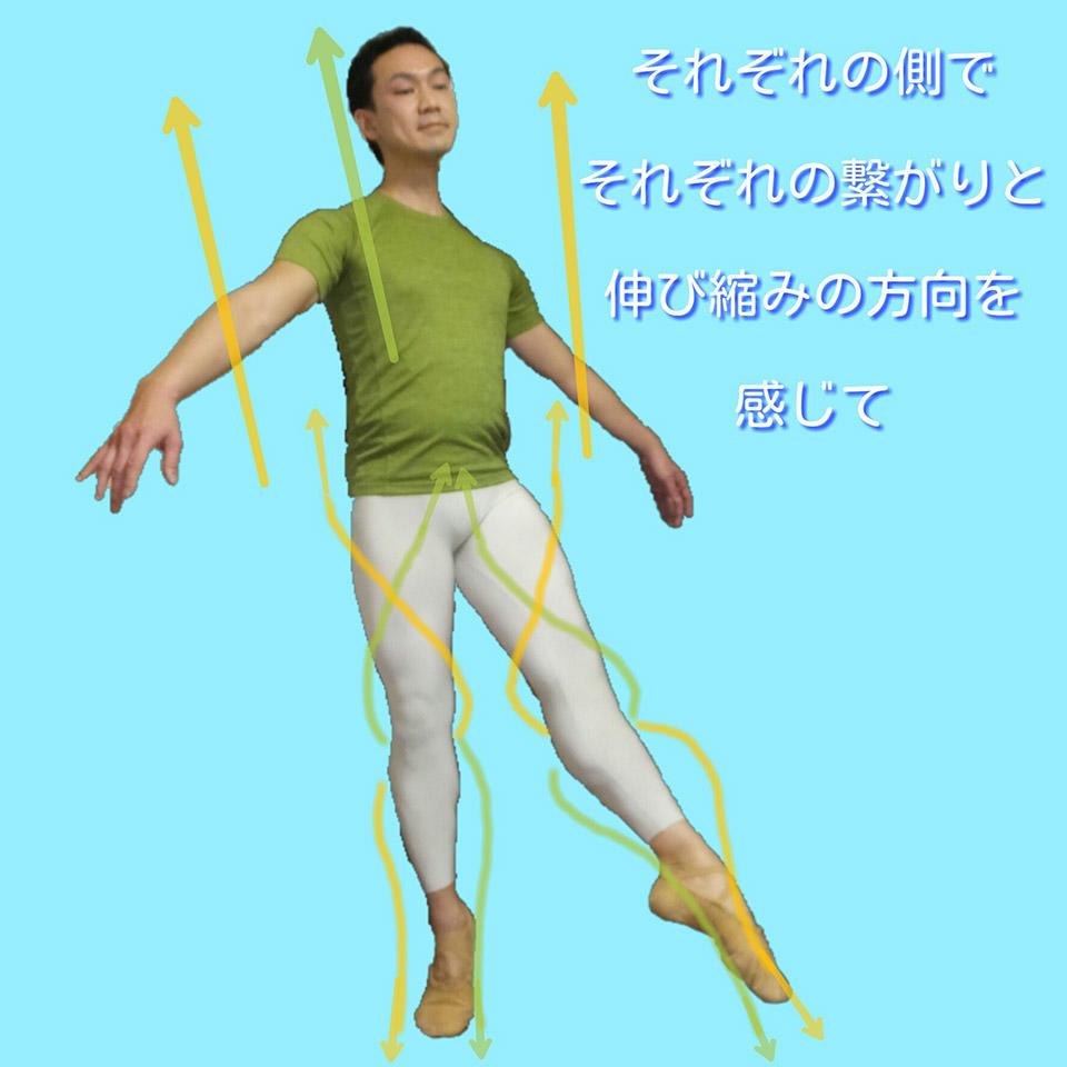 ねじり上げと上手な押し.jpg