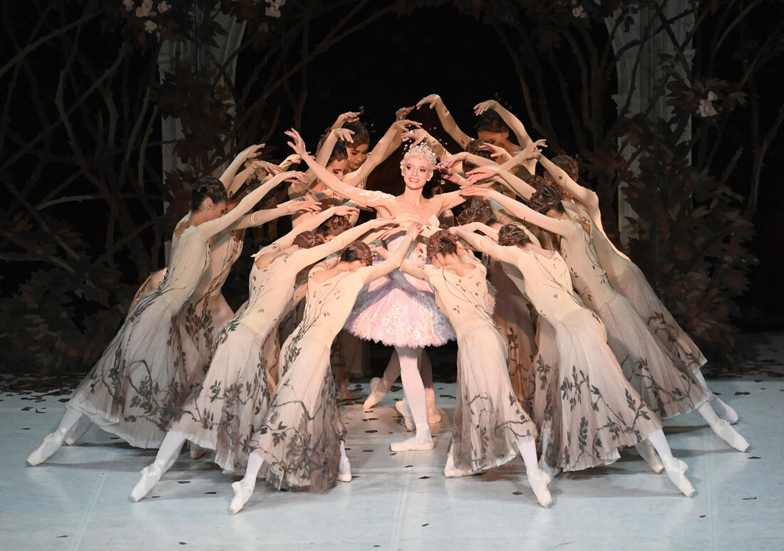 3786634 TAB The Sleeping Beauty (Haydée) Miriam Kacerova Credit_Bernhard Weis .jpg