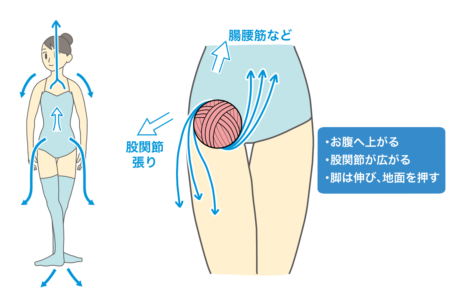 02股関節の引き上げ.png