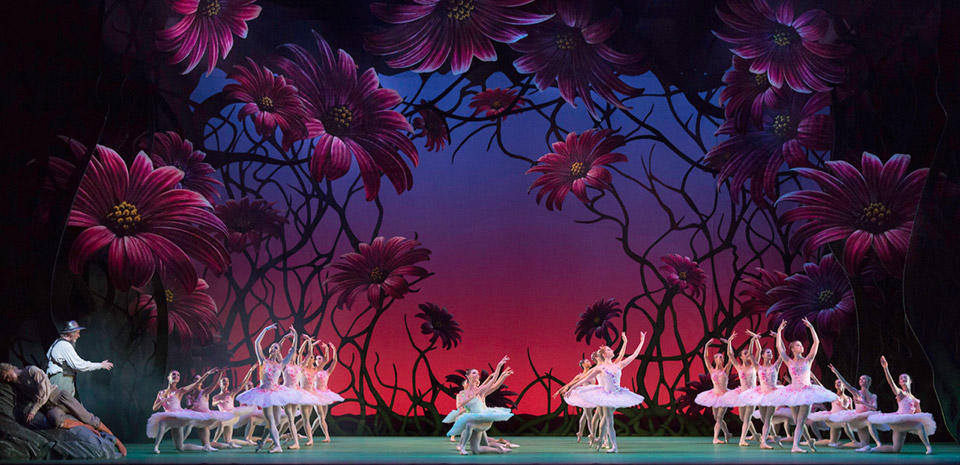 Don-Quixote.-Artists-of-The-Royal-Ballet.-c-ROH,-Johan-Persson,-2013.-(2).jpg