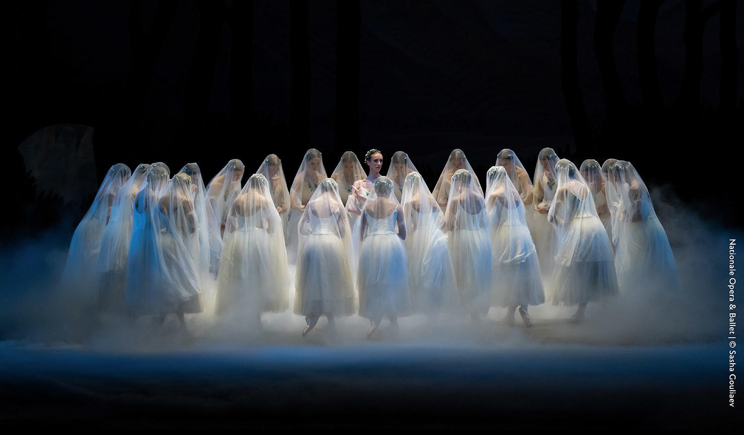 23-24-Giselle---Olga-Jacopo-stage-9-Oct-Â©Alex-Gouliaev-ALT04627.jpg