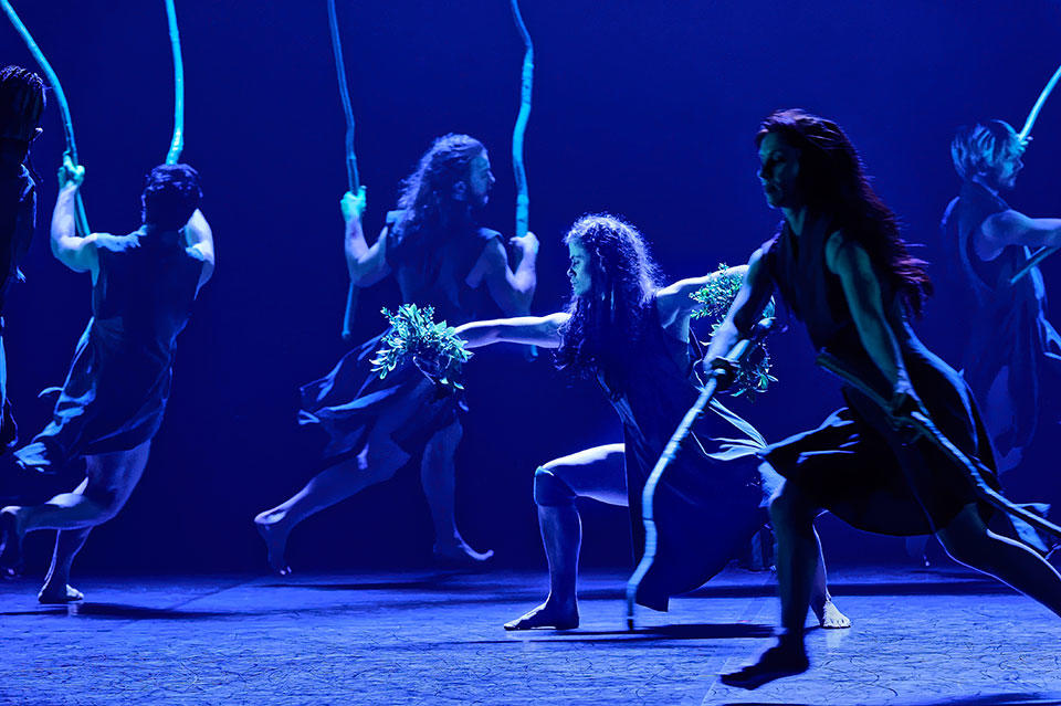 Artists-of-Australian-Dance-Theatre-Photo-by-Chris-Herzfeld.jpg