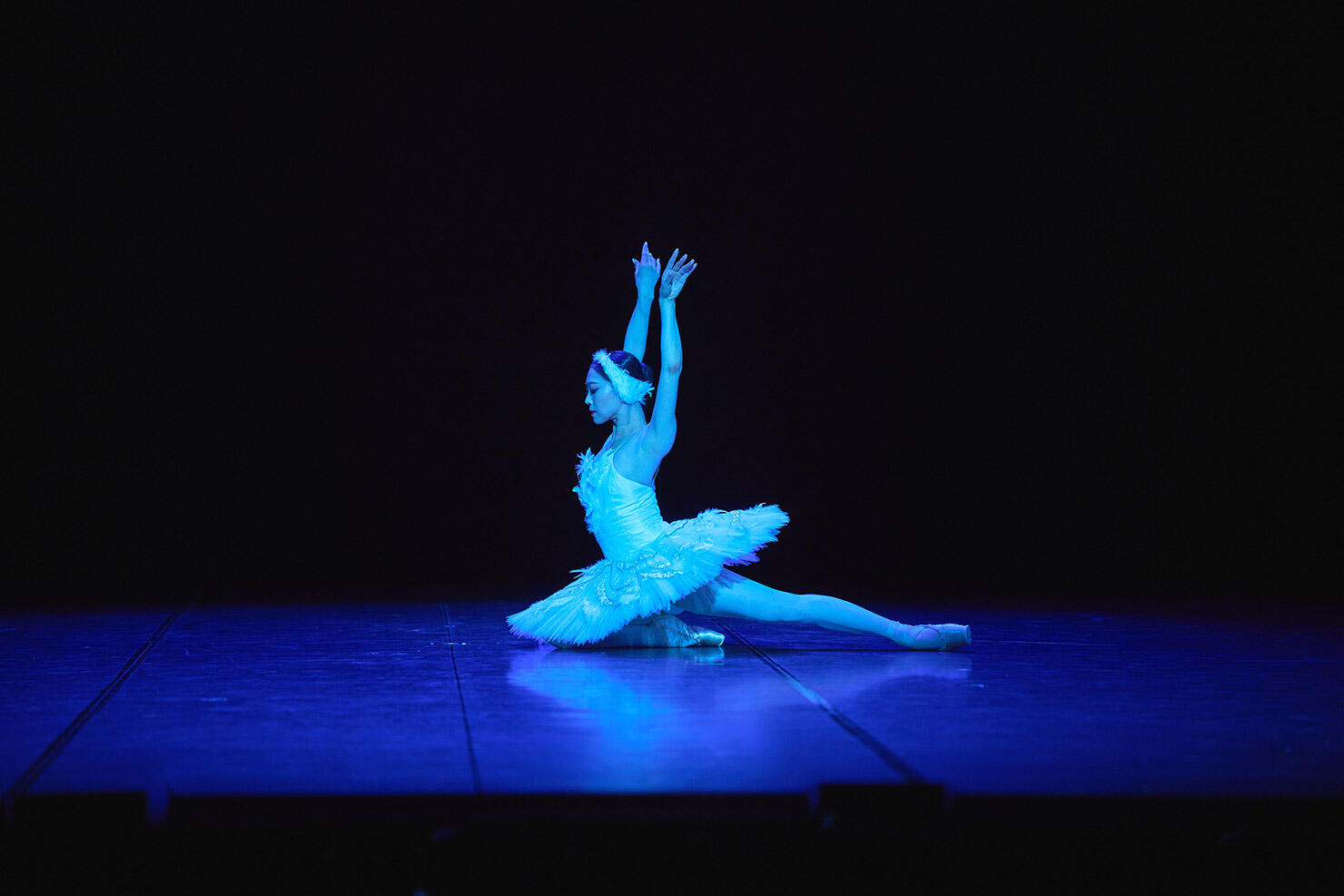 DSC00885-(1).jpg