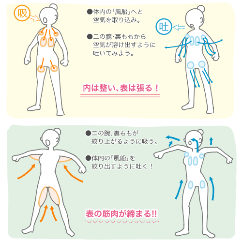 「安定を求める」インナーマッスルの声