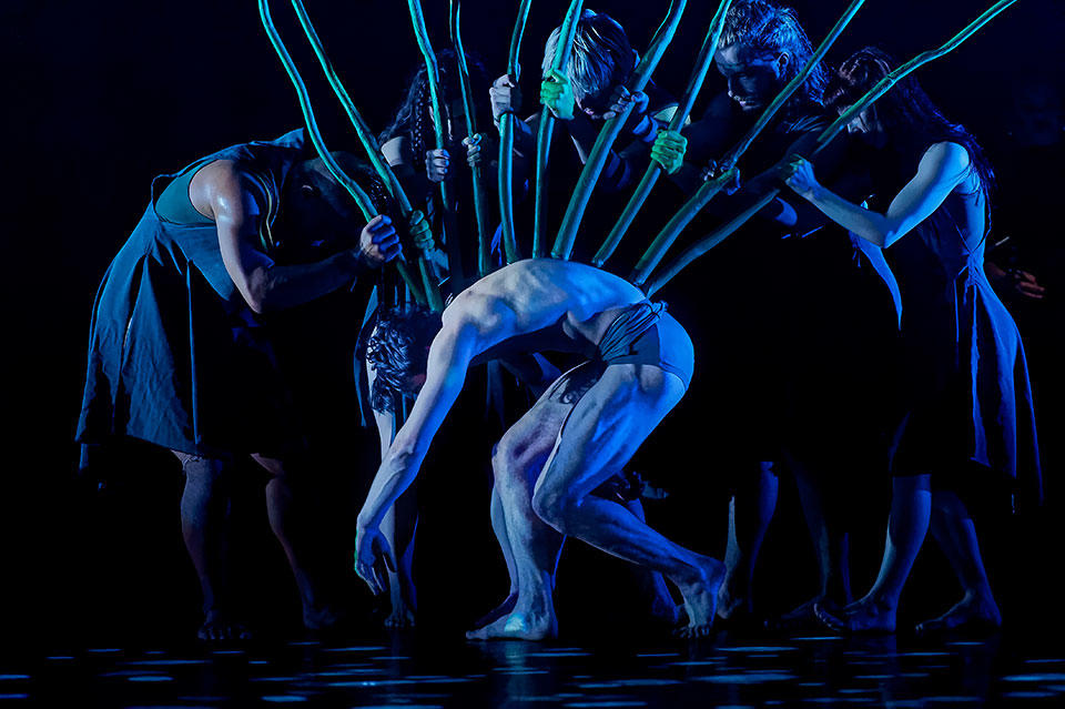 L-to-R-Thomas-Fonua,-Jana-Castillo,-Chris-Mills,-Rowan-Rossi,-Gabrielle-Nankivell,-Harrison-Elliott-Photo-by-Chris-Herzfeld.jpg