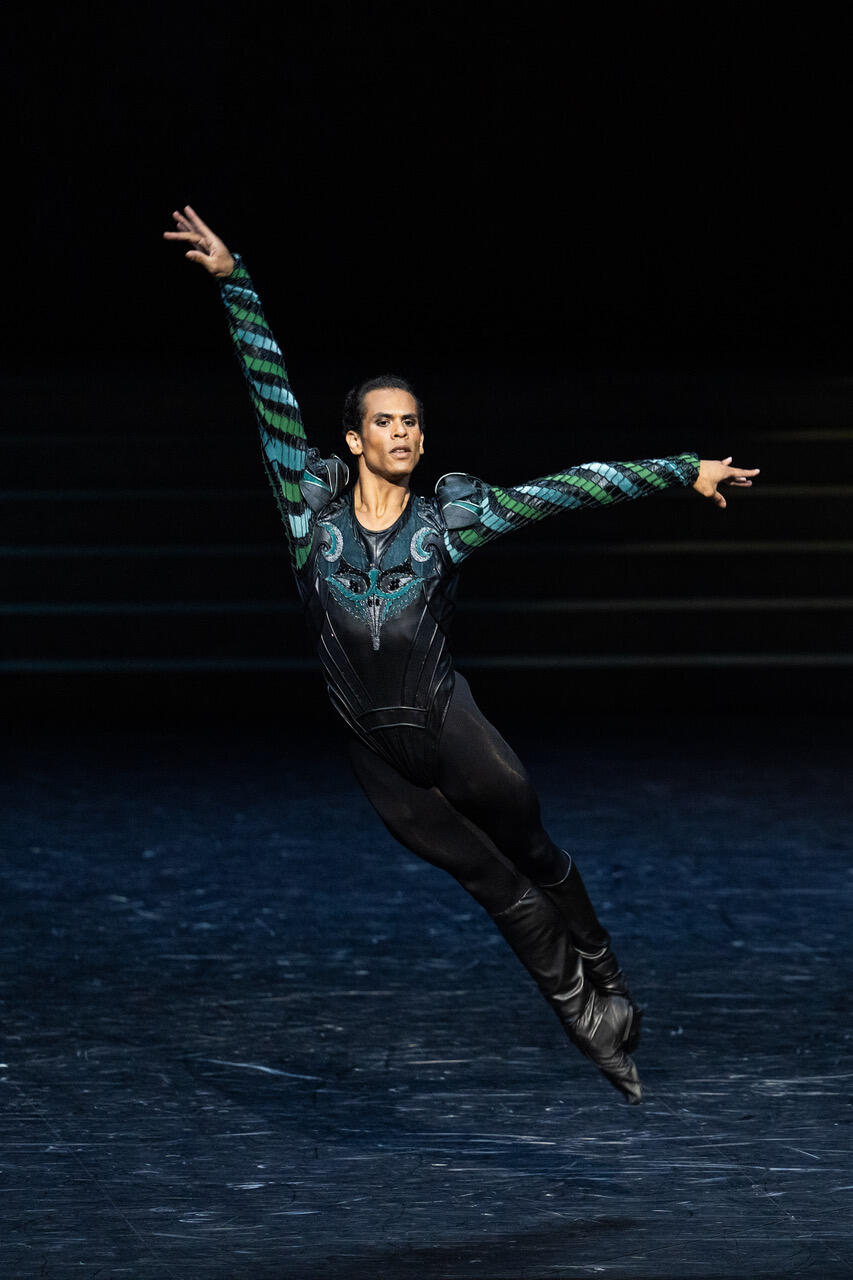 LAC DES CYGNES (Rudolf Noureev), Jack Gasztowtt (c) Yonathan Kellerman OnP 0467.jpeg