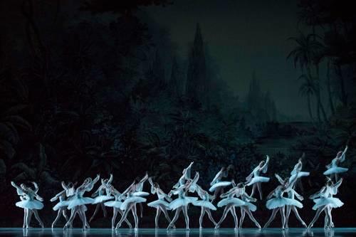 OPB bayadere 2015 13 c Little Shao.jpg