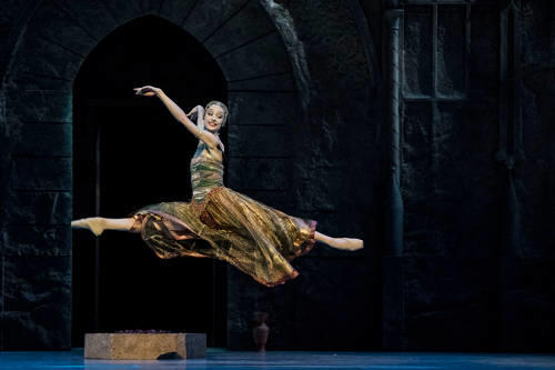 OPB bayadere 2015 8 c Little Shao  gilbert.jpg