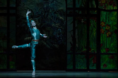 OPB bayadere 2015 9  c Little Shao  heymann.jpg