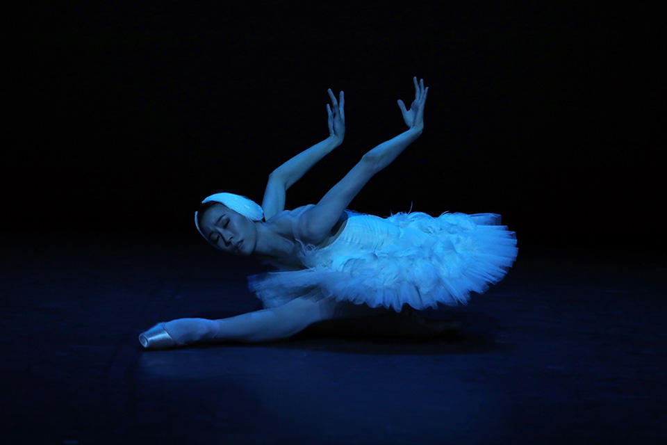 OPB-Etoile-de-l'Opera---c--Svetlana-Loboff--La-Mort-du-cygne---Park.jpg