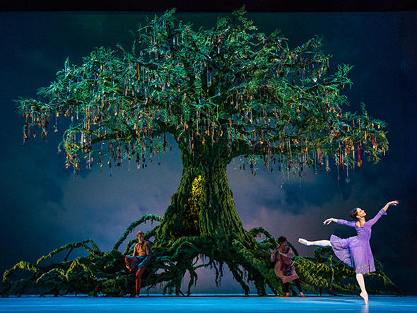 Royal Ballet act 2 Francesca Hayward photo by Darren Thomas.