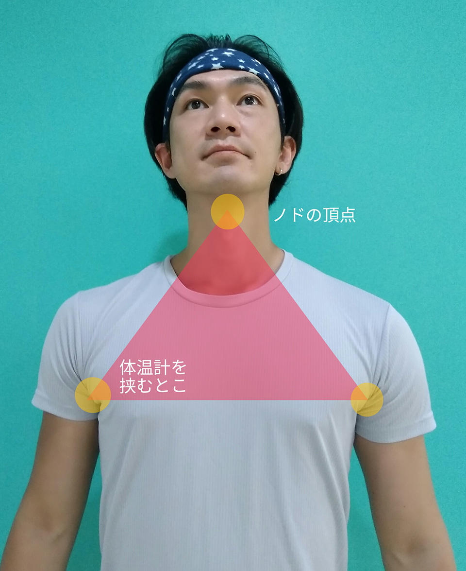胸の三角.jpg