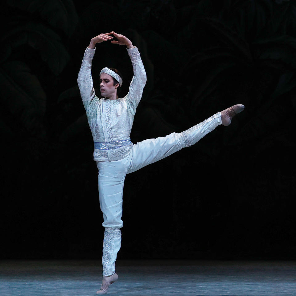 202012-LA BAYADERE Mathias Heymann (Solor)-©Svetlana Loboff OnP-1811.jpeg