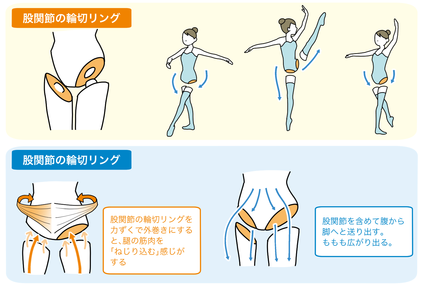 第44回 輪切リングを向ける チャコット