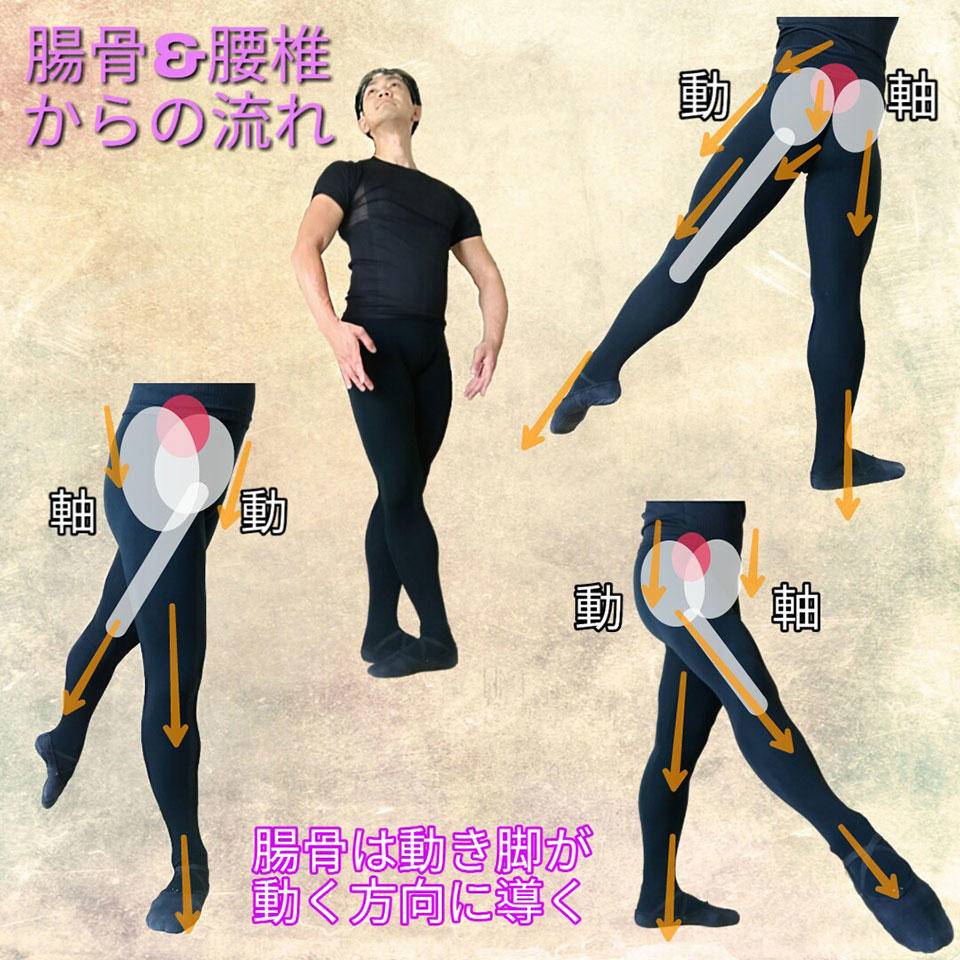 前後横の腸骨の流れ.jpg