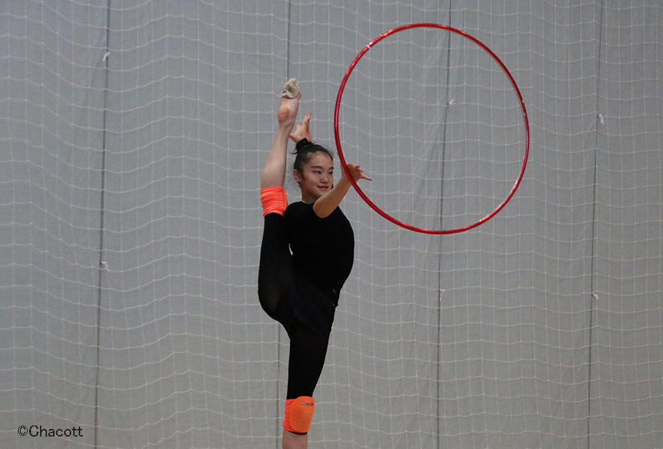 hoop_03.jpg
