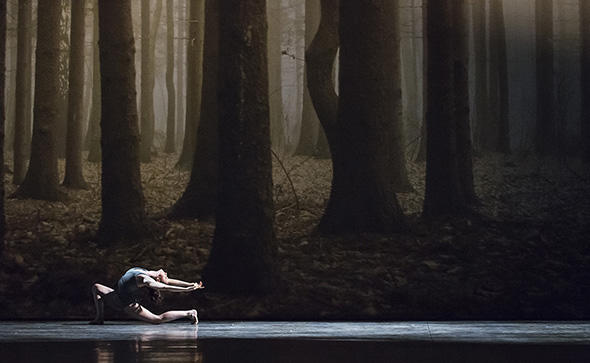 『フォーン』photo Julien Benhamou/ Opéra national de Paris