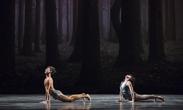 『フォーン』photo Julien Benhamou/ Opéra national de Paris