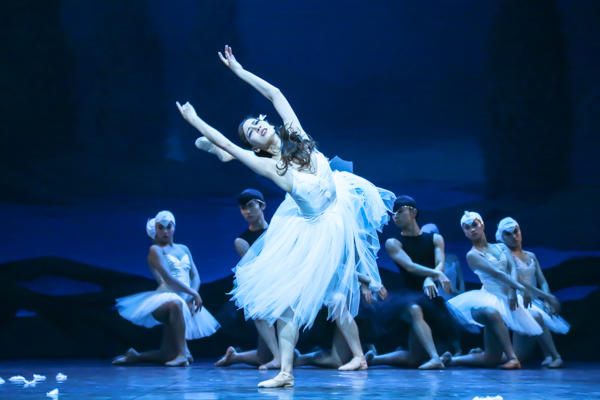 swanlake_20l_6561.jpg