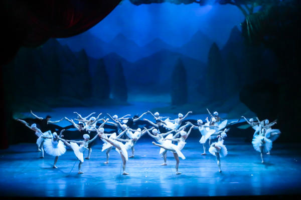 swanlake_20l_6790.jpg