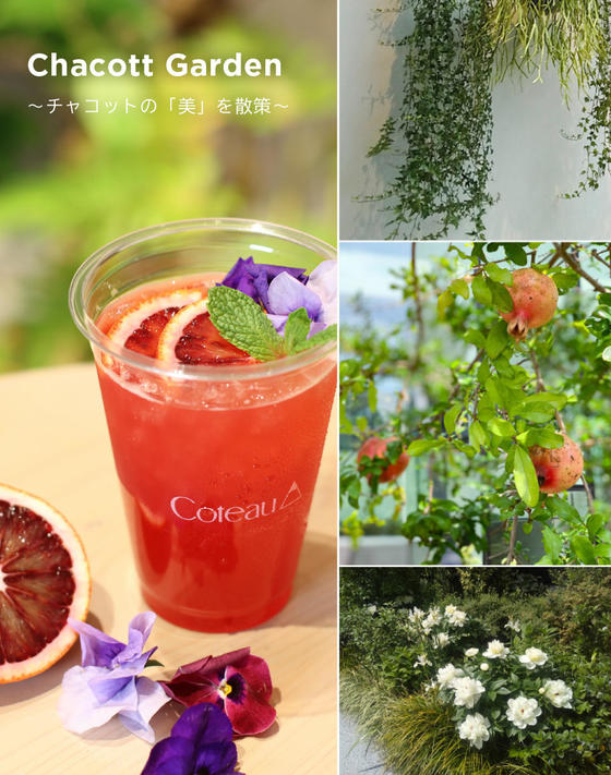 チャコット代官山本店 春の日差しが心地良い4月は「Chacott Garden」を展開！～チャコットの「美」を散策～